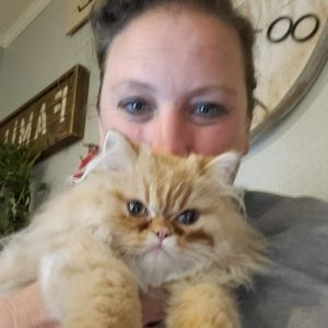 Meet your Posher, Sandy